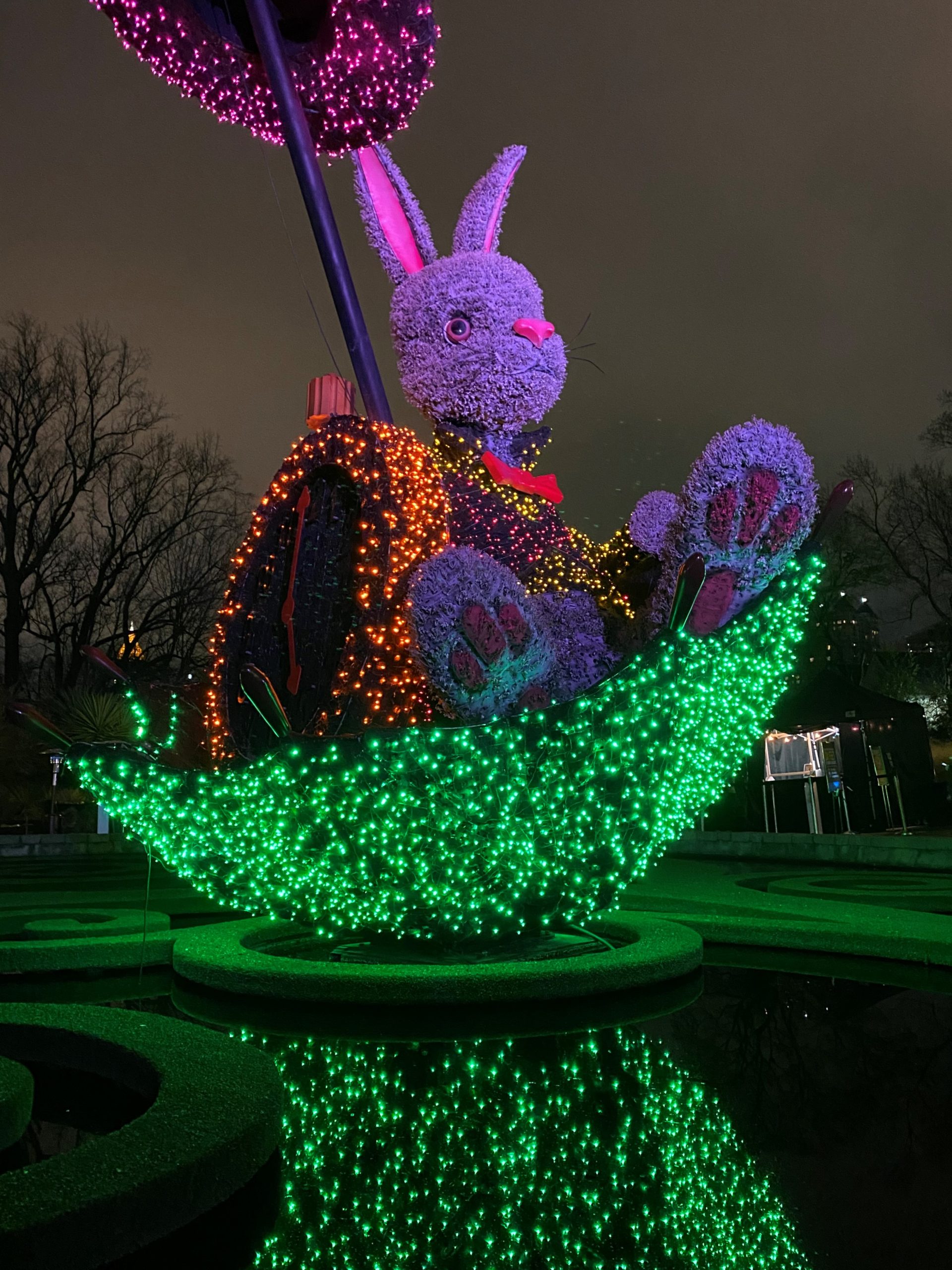 The Complete Guide To Atlanta Botanical Garden's Holiday Lights ...